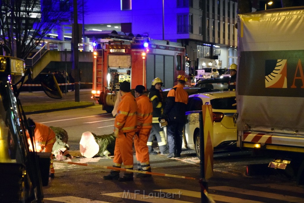 Baum auf PKWs Koeln Mitte Rheinuferstr Goldgasse P064.JPG - Miklos Laubert